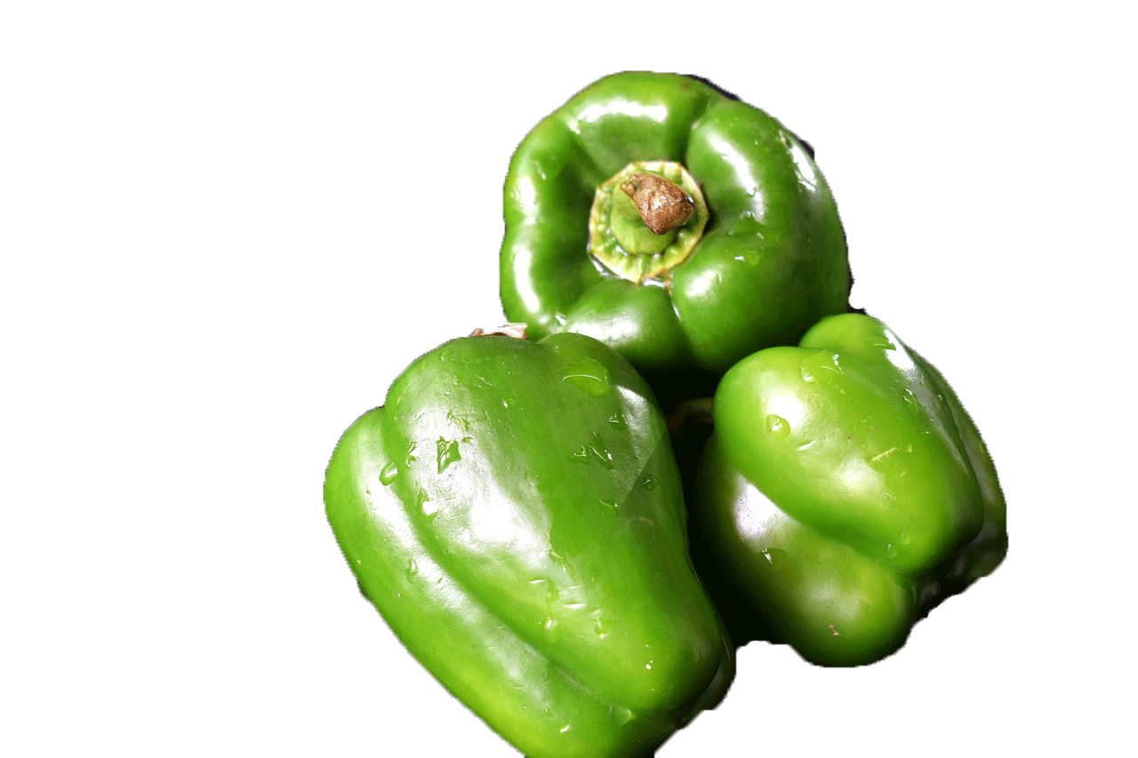 Capsicum