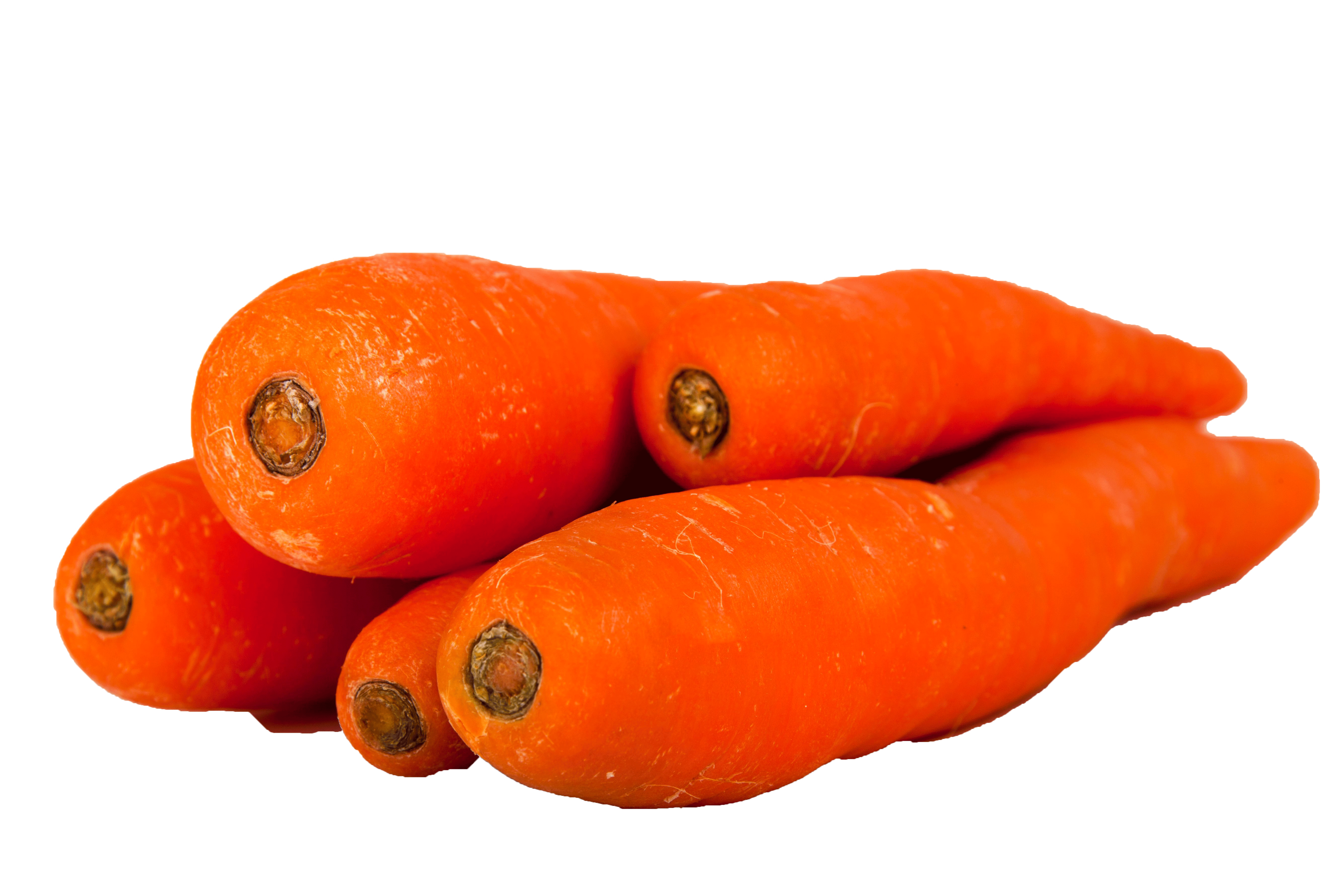 Carrot