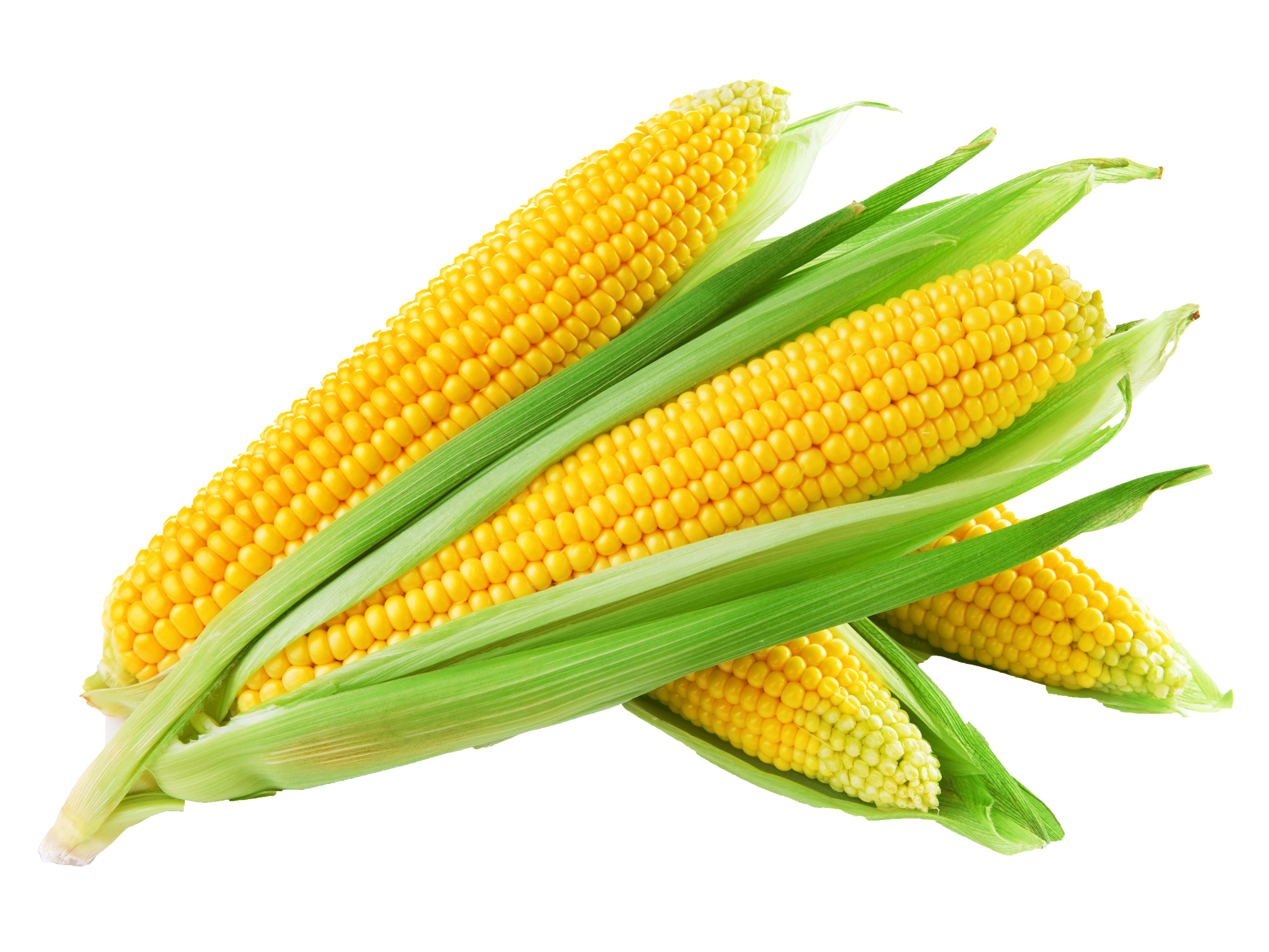 Sweet Corn (Makkai)