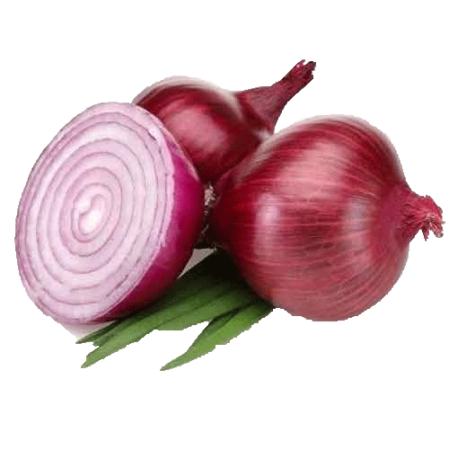 Onion